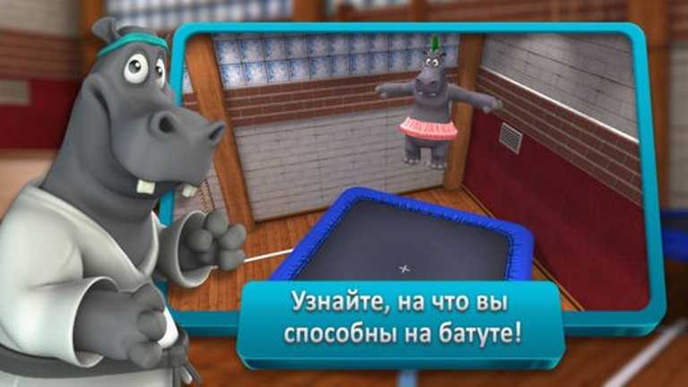 Hippo Sports Premium